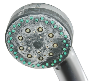 Foto: AquaCell douchekop