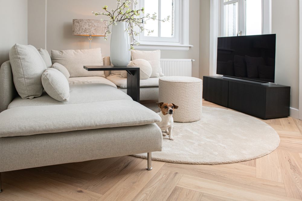 Foto: Interfloor Satino 305 karpet kode 4 en Dynamic Wood XL Fishbone F24 2