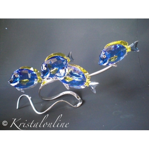 Foto : Swarovski Doktersvissen