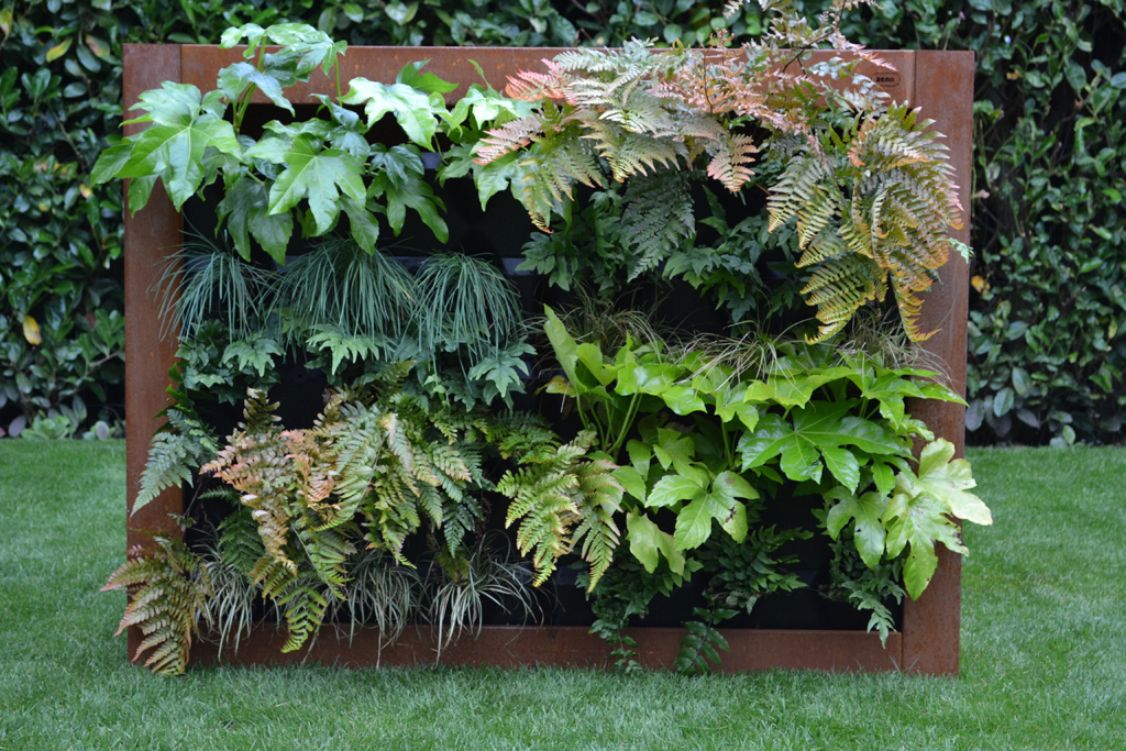 Foto: Zeno DIY Green Divider 1450x380x1100mm lxbxh Verticaal tuinieren Vertical gardening wand garten  jardinage vertical 4