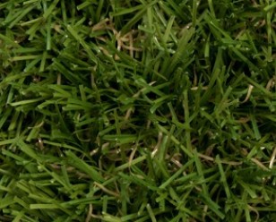 Foto: magnefique boven 308 248