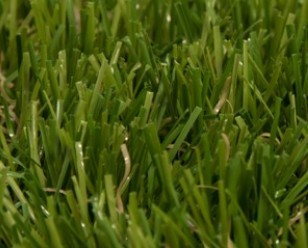 Foto: magnefique schuin 308 248