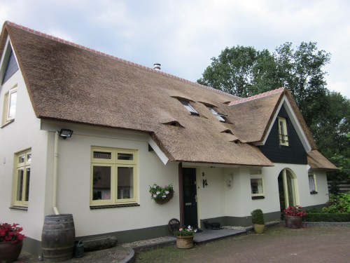 Foto: Rieten dak Pape rietdekkers 1