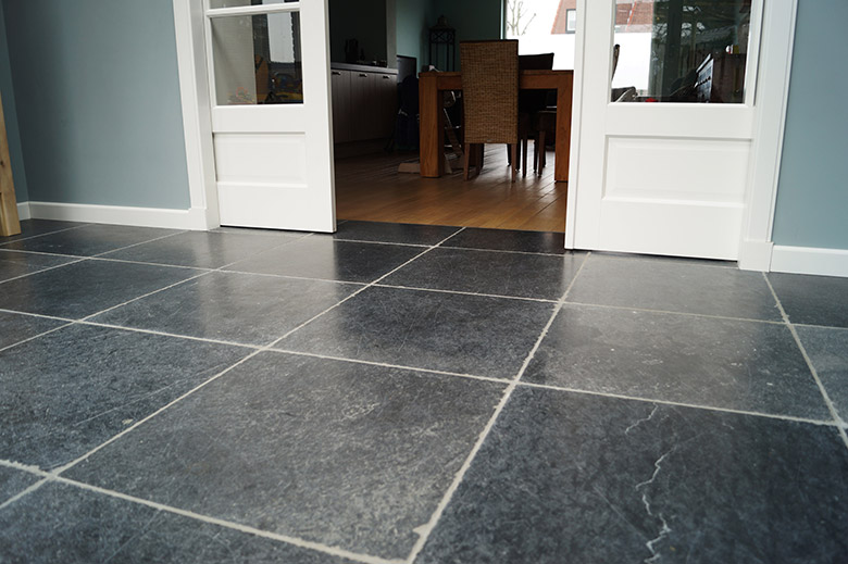 Foto: Vietnamese Hardsteen SF VVW (3)