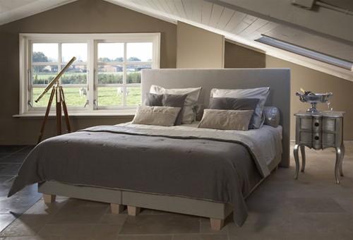 Profielfoto van Mérens