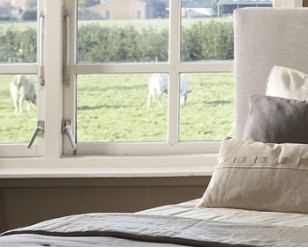 Foto: 0large 1b 308 248