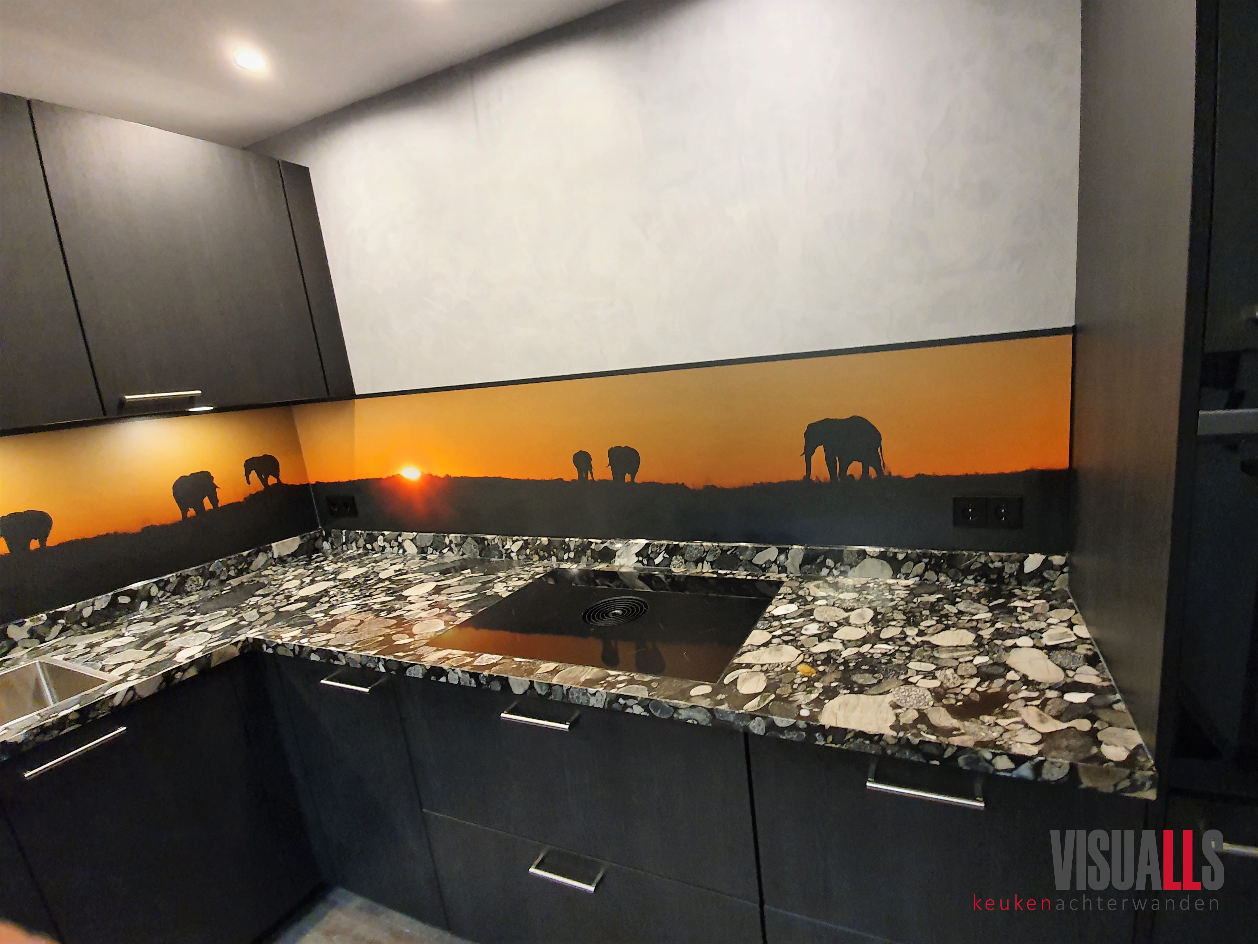 Foto: 210637PE olifanten eigen foto  2 