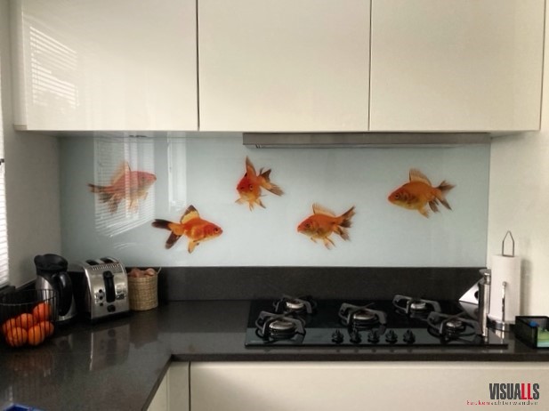 Foto: P628 Goldfish phielix