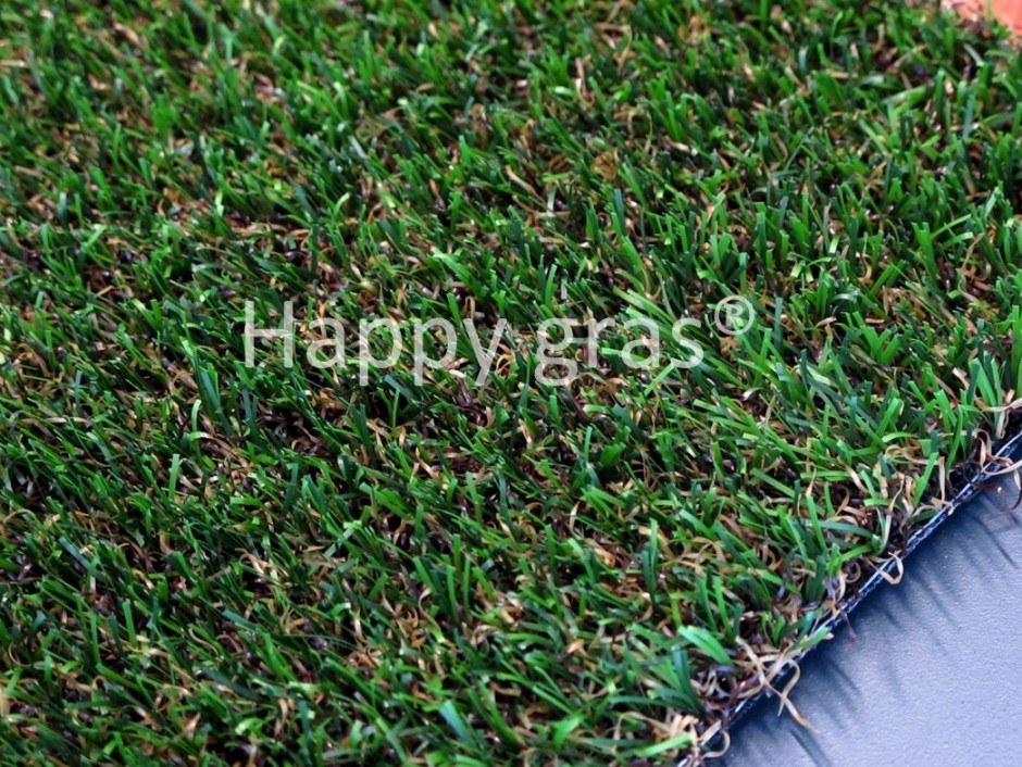 Foto: w3 Basic 10 2015