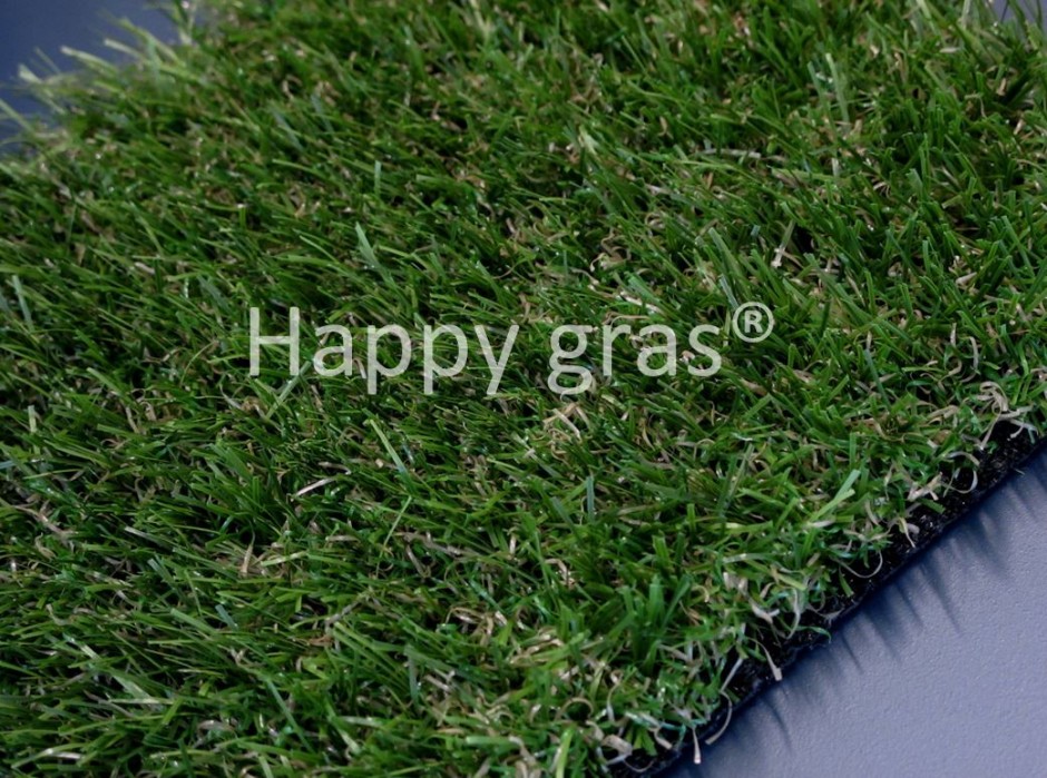 Foto: w3 Basic 20 2015 nieuw