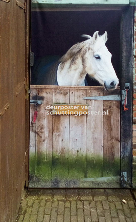 Foto: deurposter paard in stal van schuttingposter op tuinpoort 