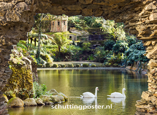 Foto: tuinposter gat in rots doorkijk zwanen
