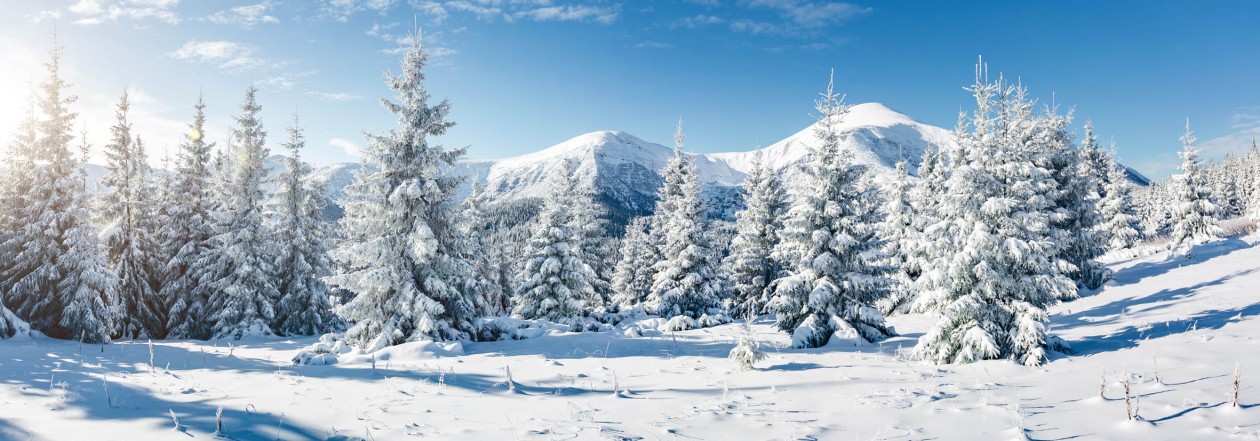 Foto: w3 slider foto 5 winterlandschap bomen en bergen achtergrond kerstdorp 7x20