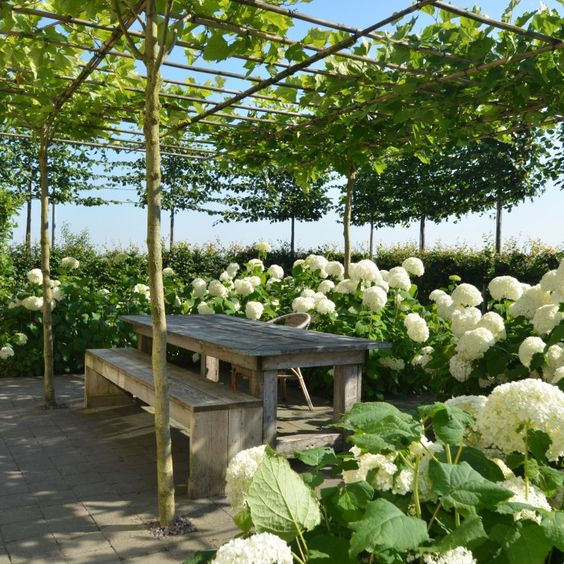 Foto: zonwering dakplantaan