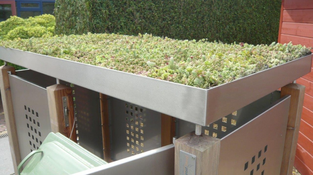 Foto: w3 FirmusSEDUM  (10)