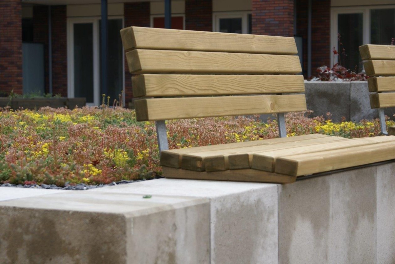 Foto: w3 FirmusSEDUM  (8)