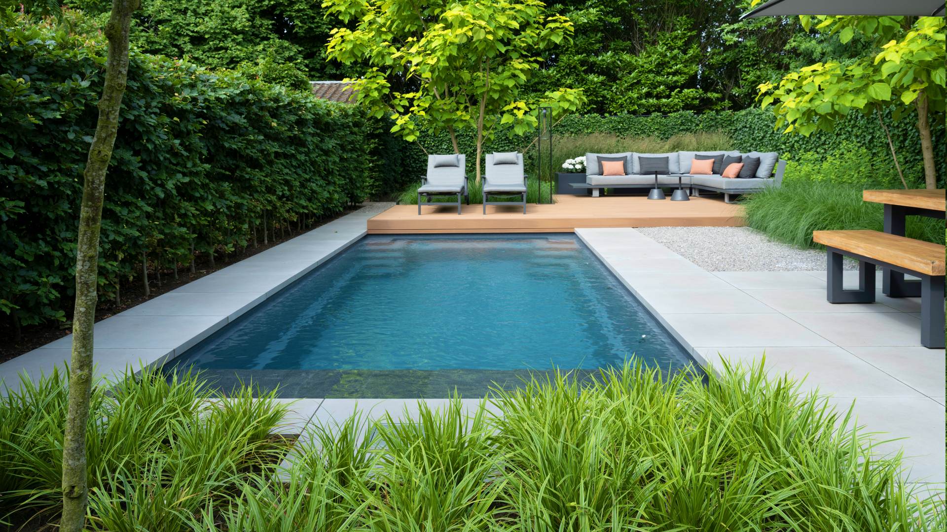 Foto: Foto 1 moderne tuin