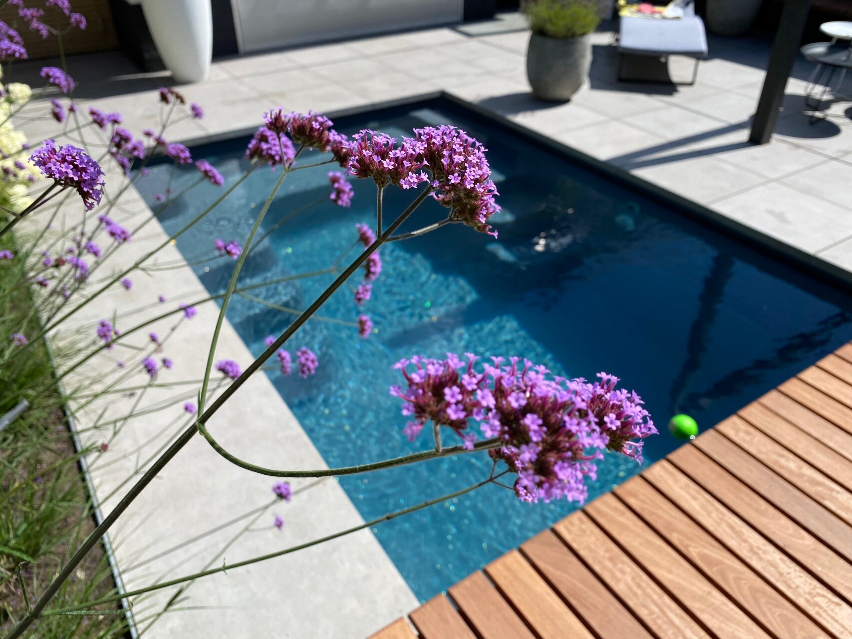 Foto: X Trainer 45 Nova Antraciet Wouw 1