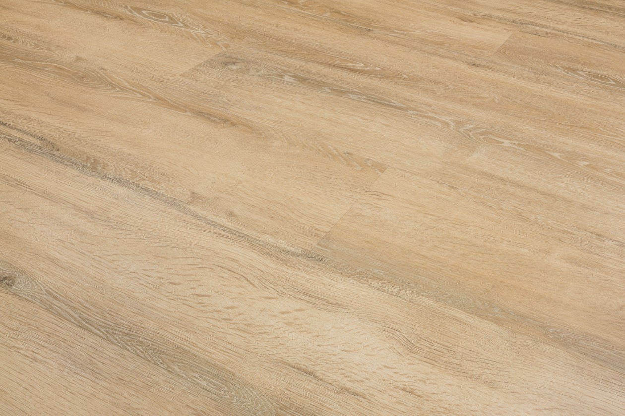 Foto: w3 25 8340 RES