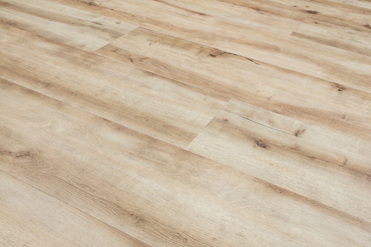 Foto: w3 25 8420 RES