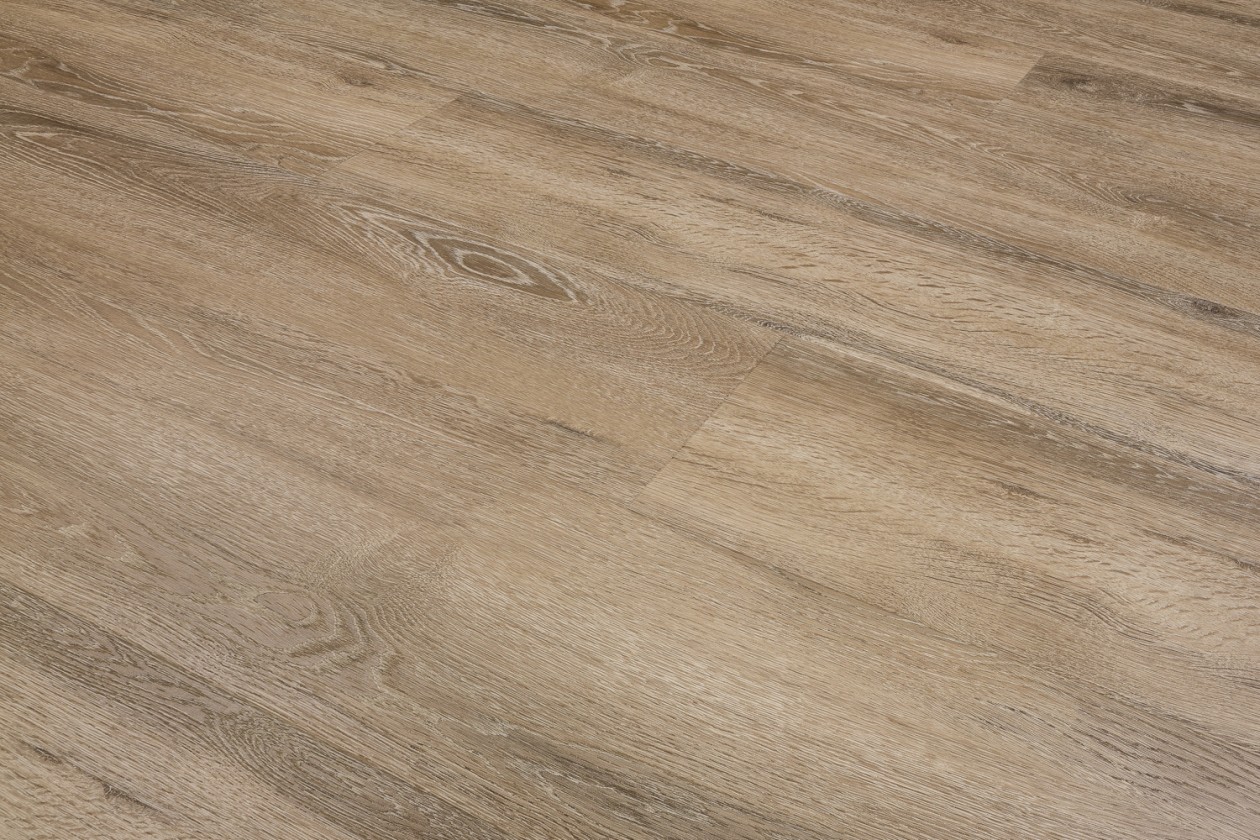 Foto: w3 25 8540 RES