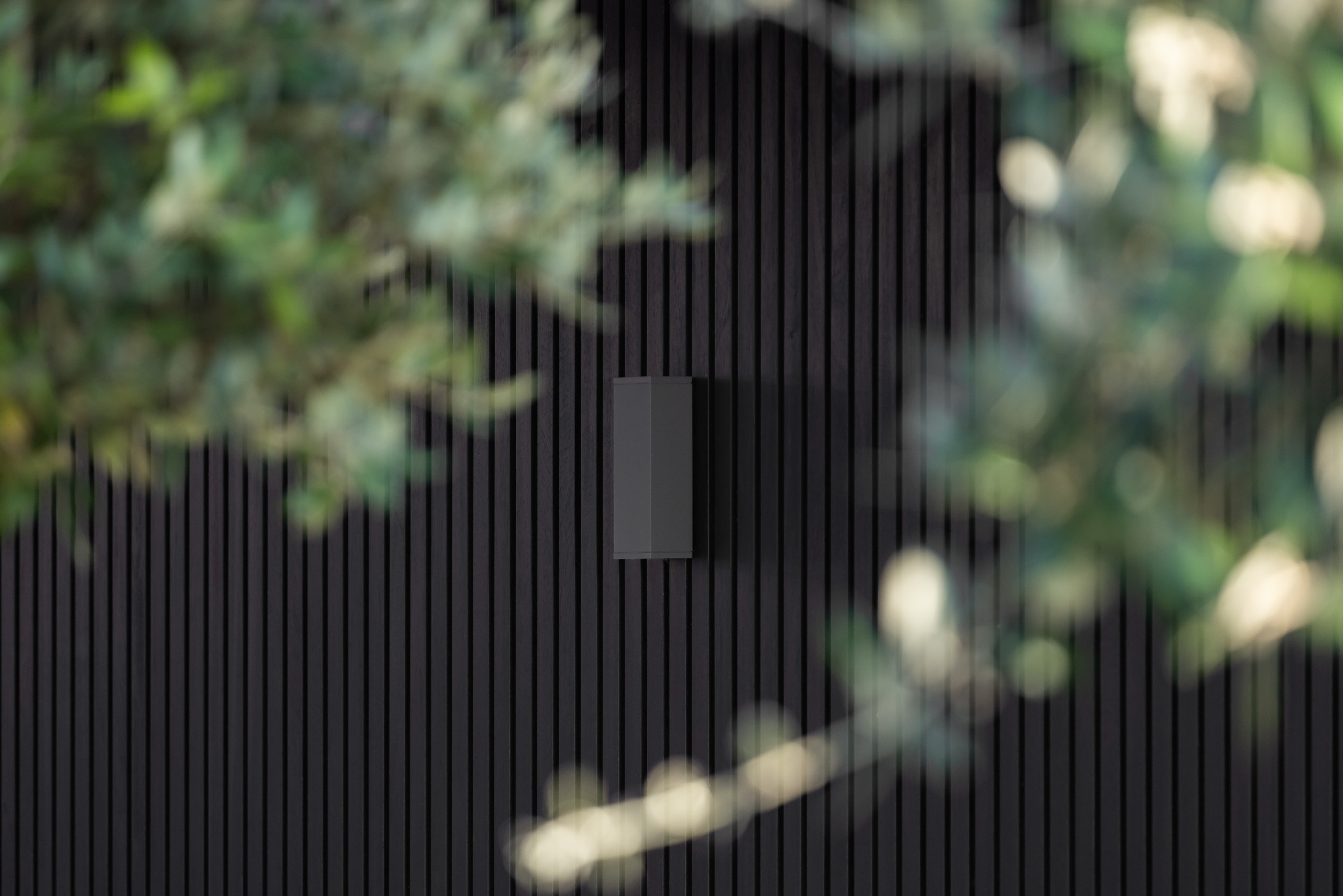 Foto: BRONKHORST ZEGGE 0920  LR 