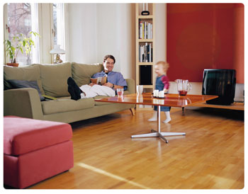 Foto: Bona D 509 Polish Fernox onderhoud