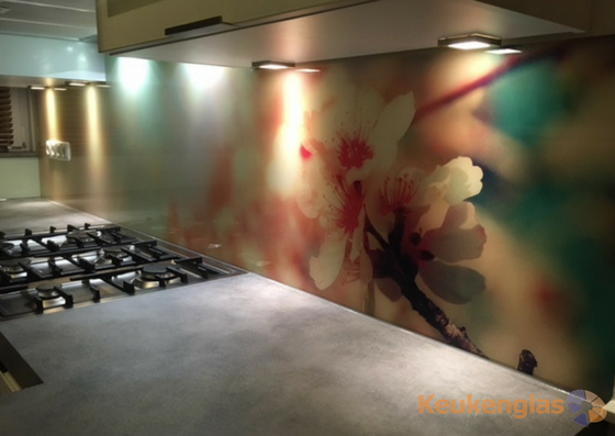 Foto: Apeldoorn glaswand afbeelding bloem