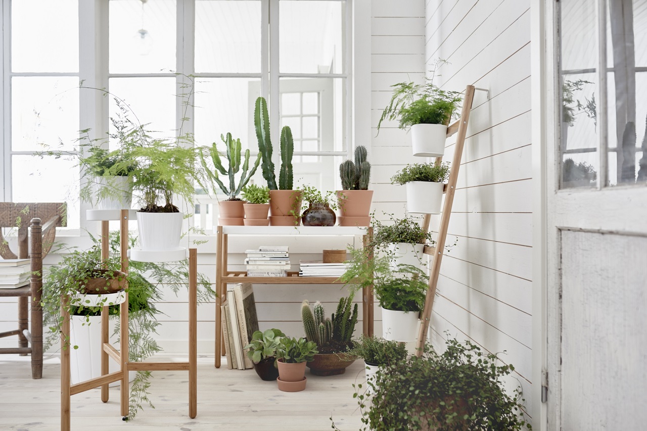 Foto: Beautiful Indoor Garden Ideas Picture 1