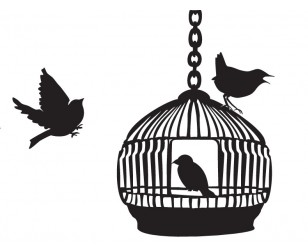 Foto: vogelkooi vogels raamsticker lipdus 1 308 248