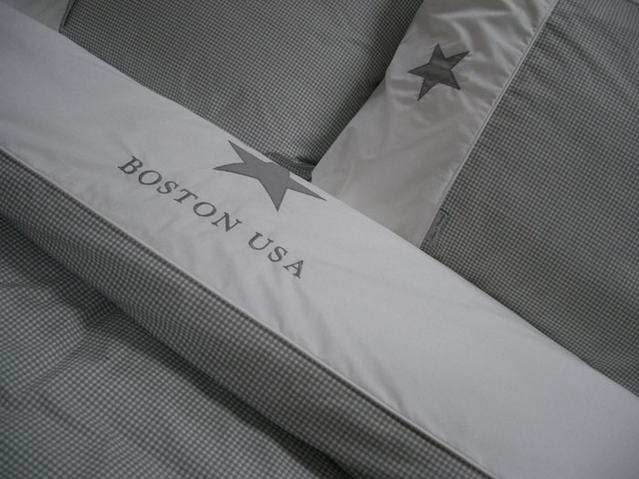 Foto: Boston usa grijs1