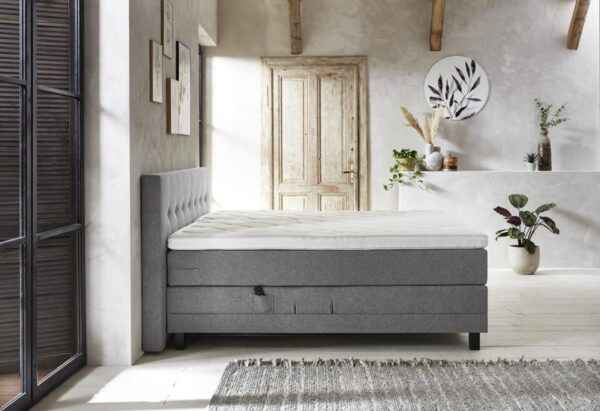 Foto: Cezanne 05 600x411