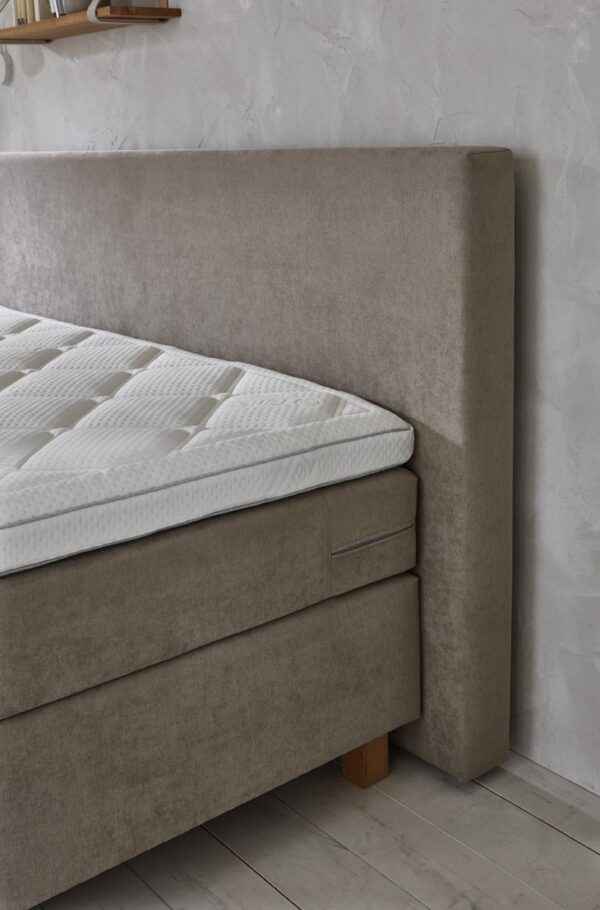 Foto: Davinci 05 600x910