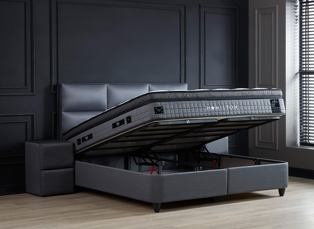 Foto: urun 13719684922 hamilton 6