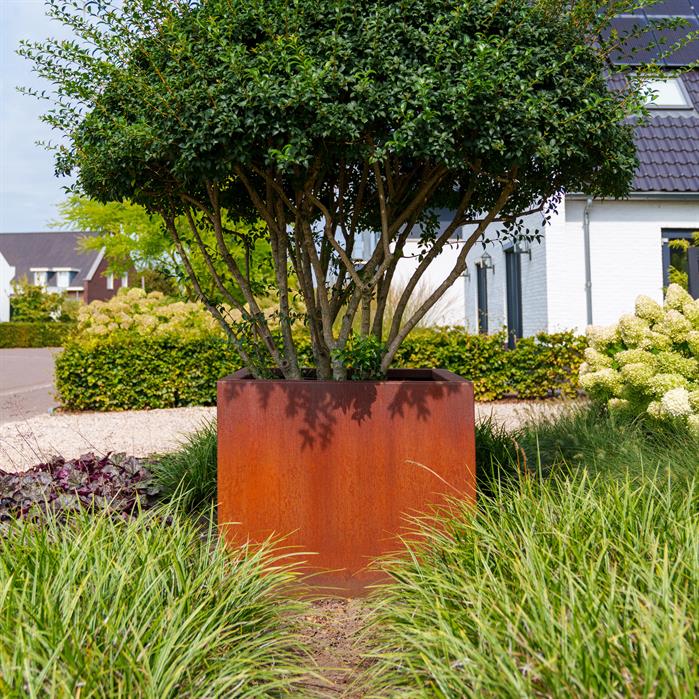 Foto: Bloembak cortenstaal tuinextra plantenbak roest boom
