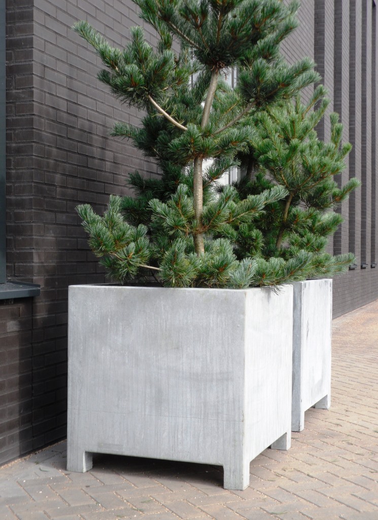 Foto : Grote robuuste bloembakken