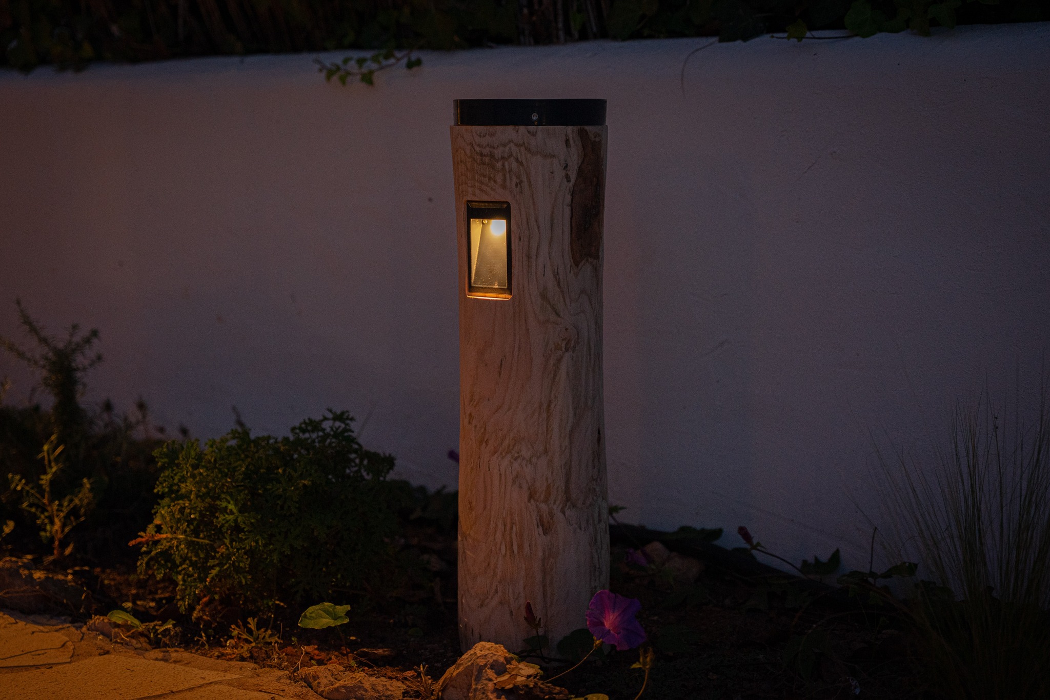 Foto: 568500504 1105769851543190 4620657078856361464 n