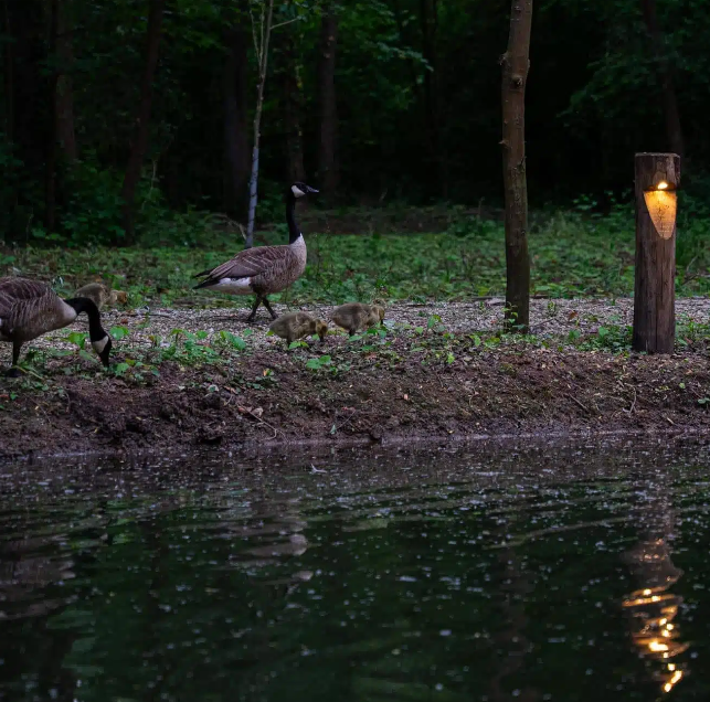 Foto: Schermafbeelding 2026 10 15 105039