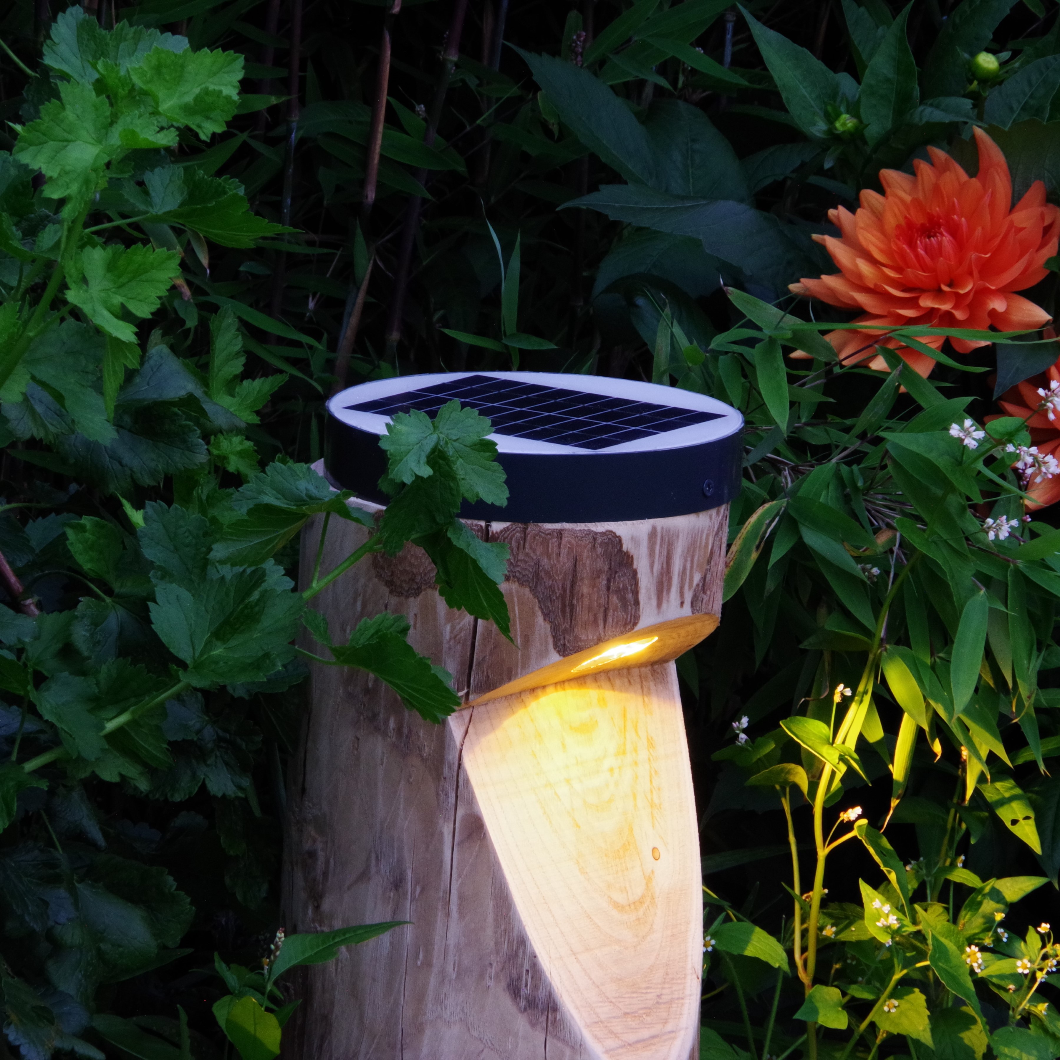 Foto: Timberlab Bosco solar 7 HR  Aangepast 