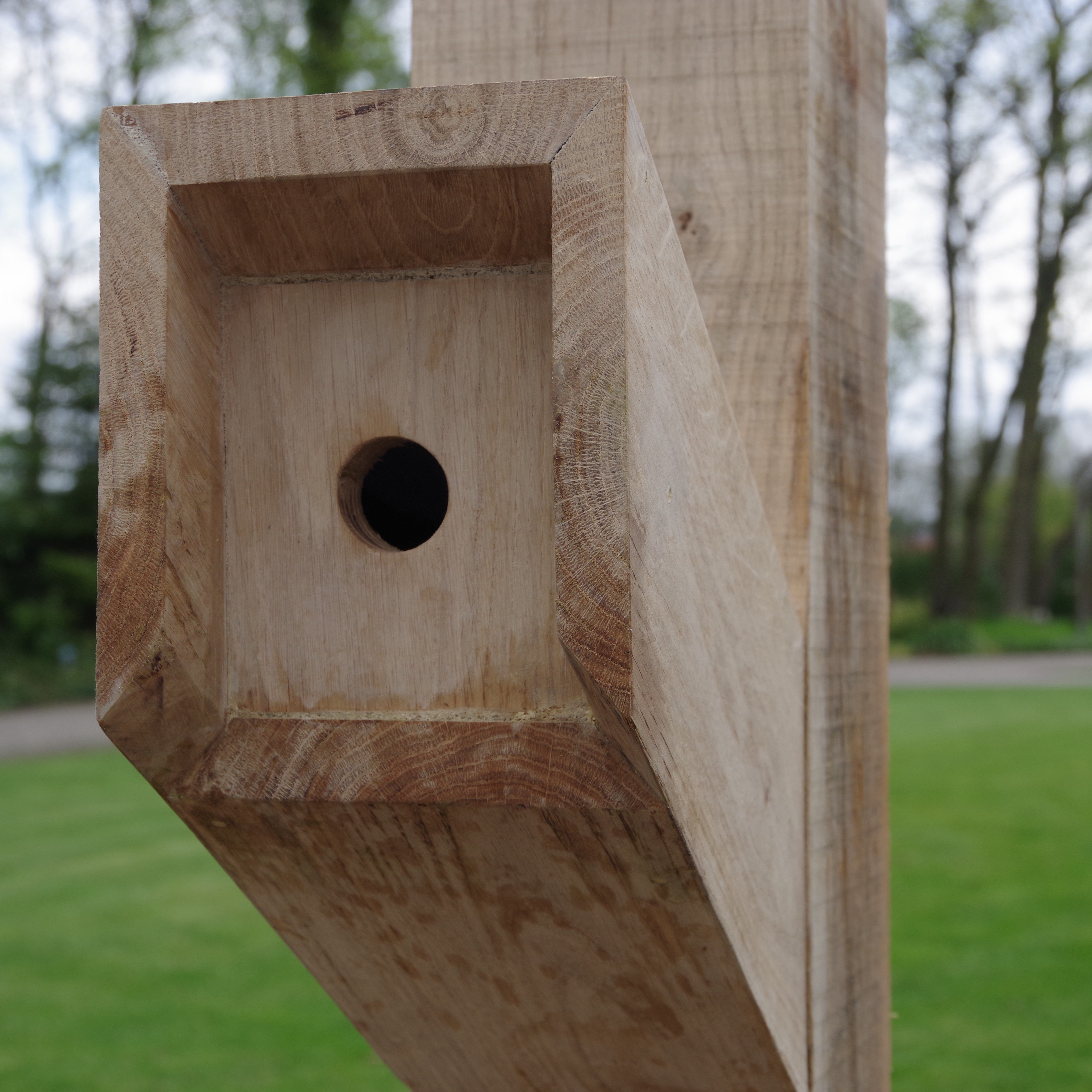 Foto: Timberlab Casa 1 HR