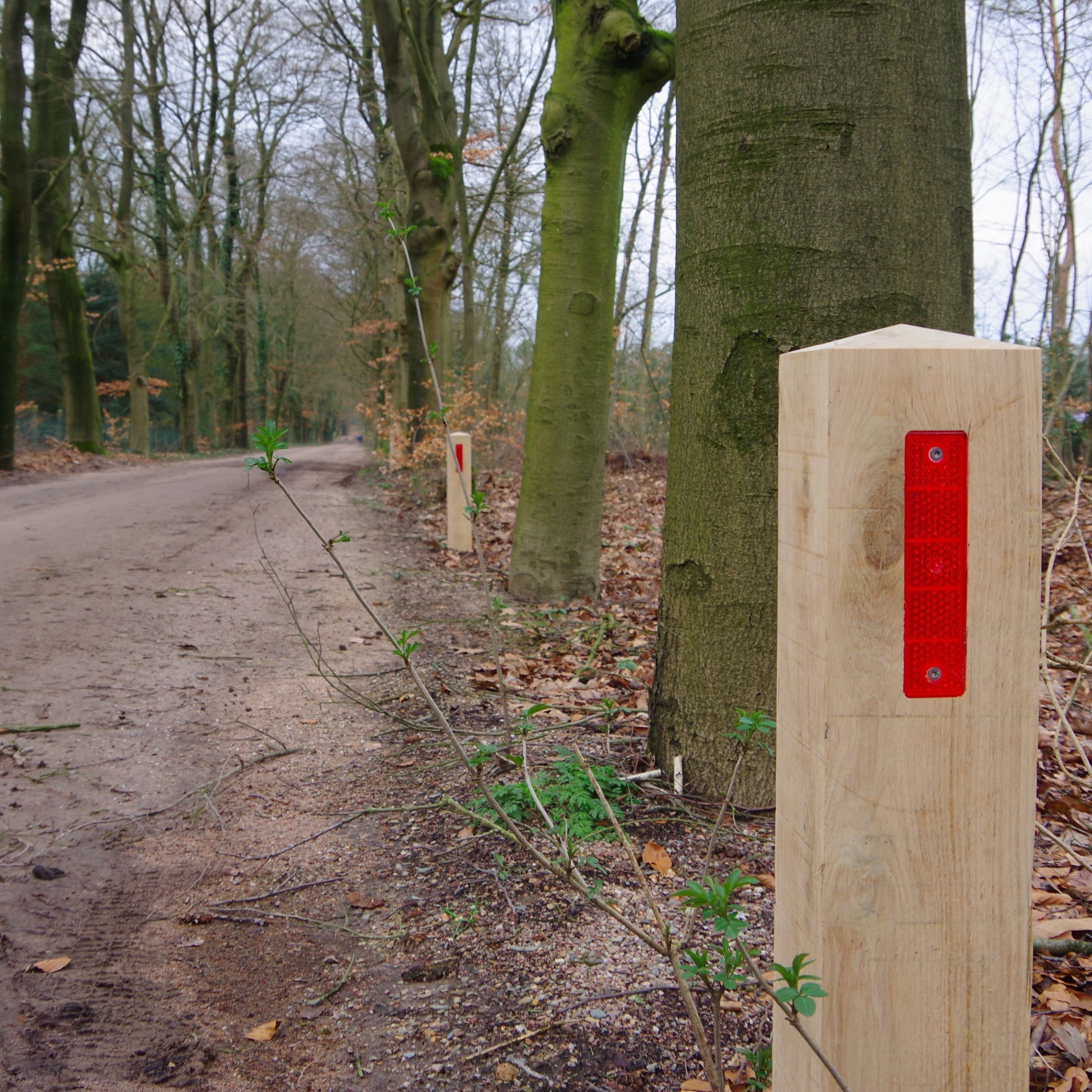 Foto: Timberlab Invia 1 HR