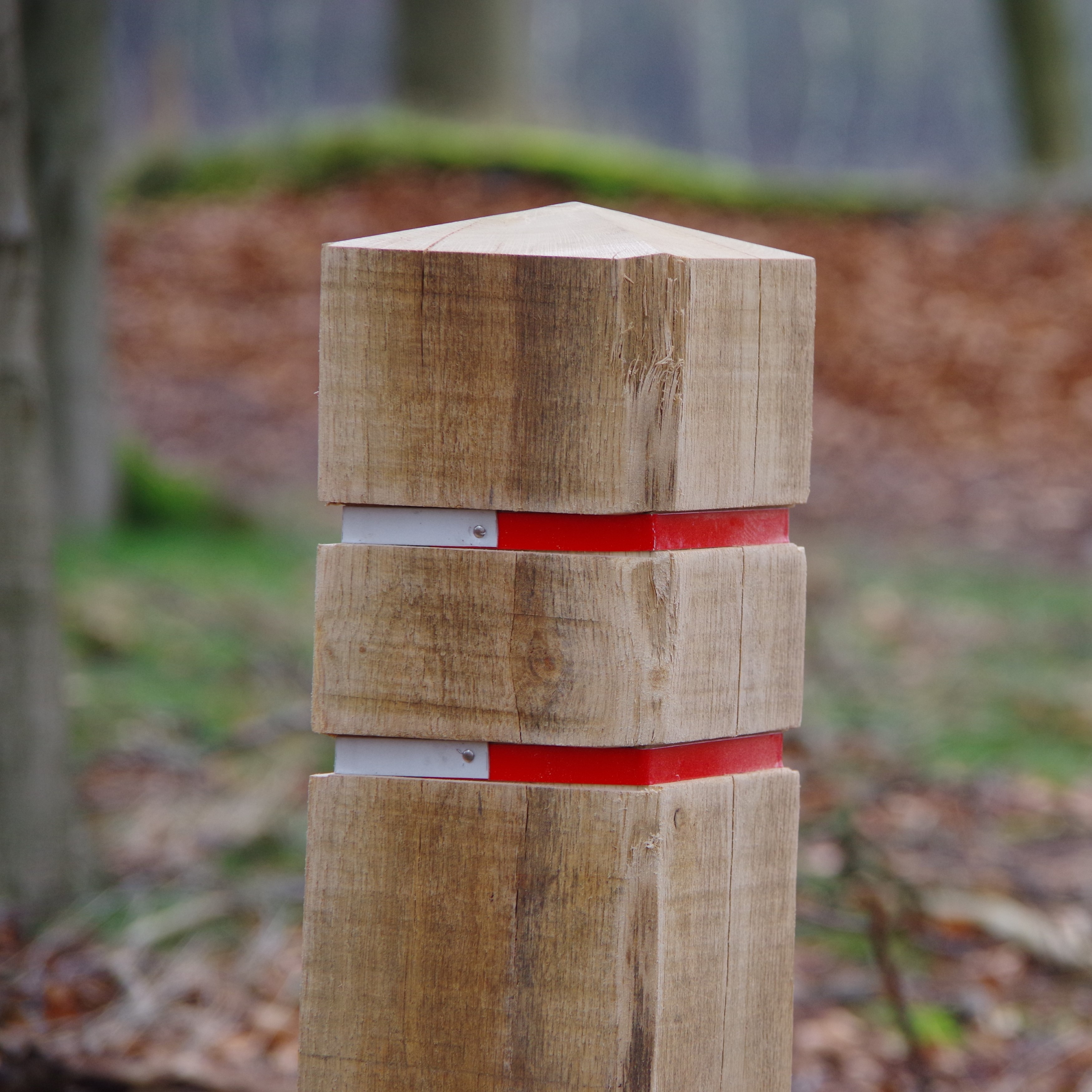 Foto: Timberlab Invia 7 HR