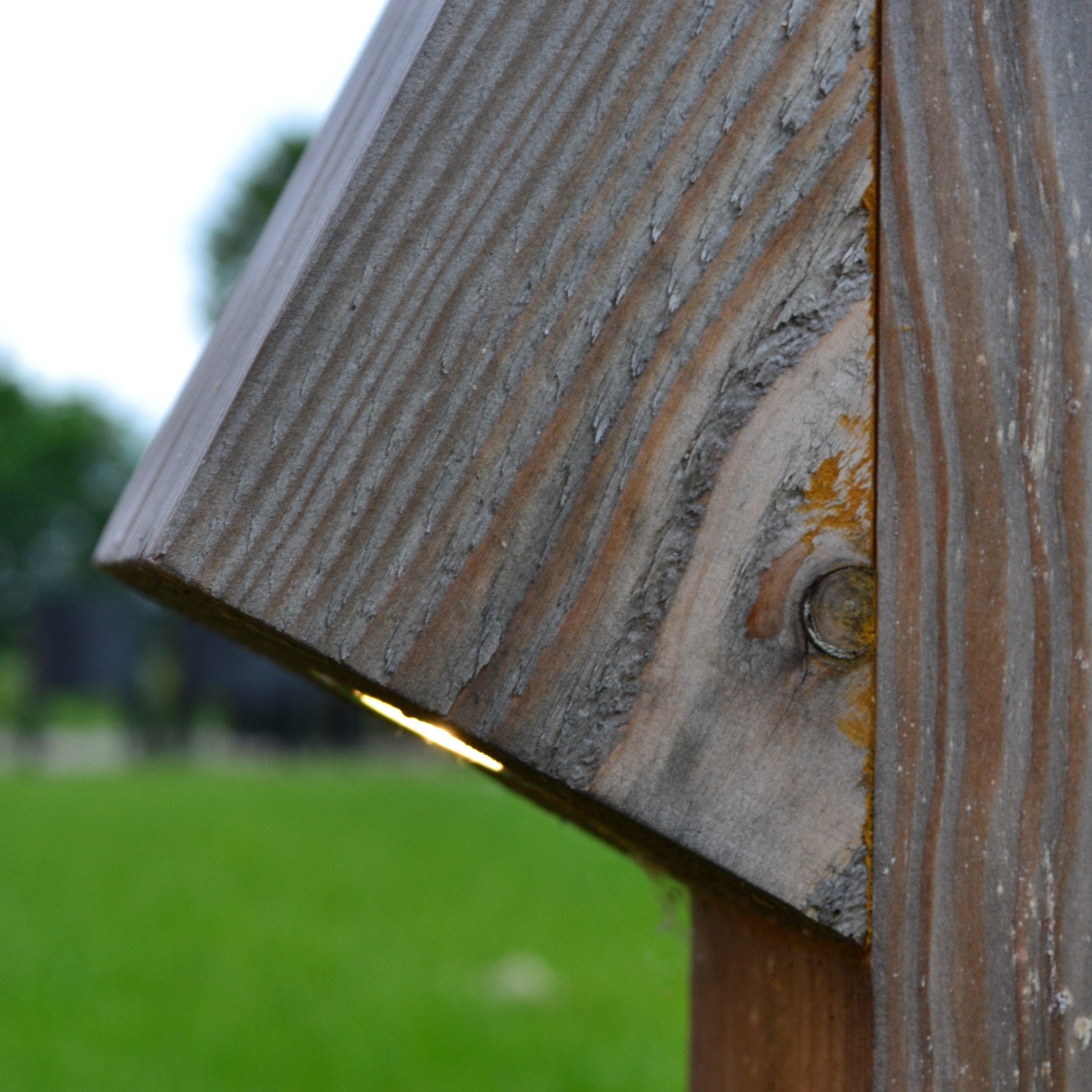 Foto: Timberlab Peri 1 HR