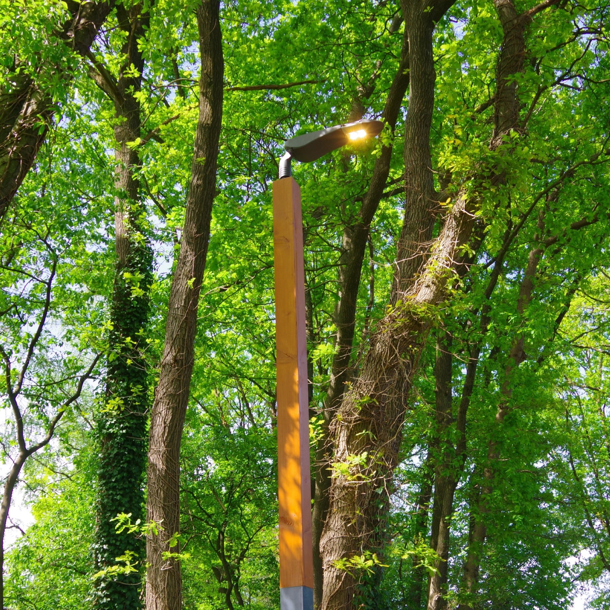 Foto: Timberlab Pila 4 HR