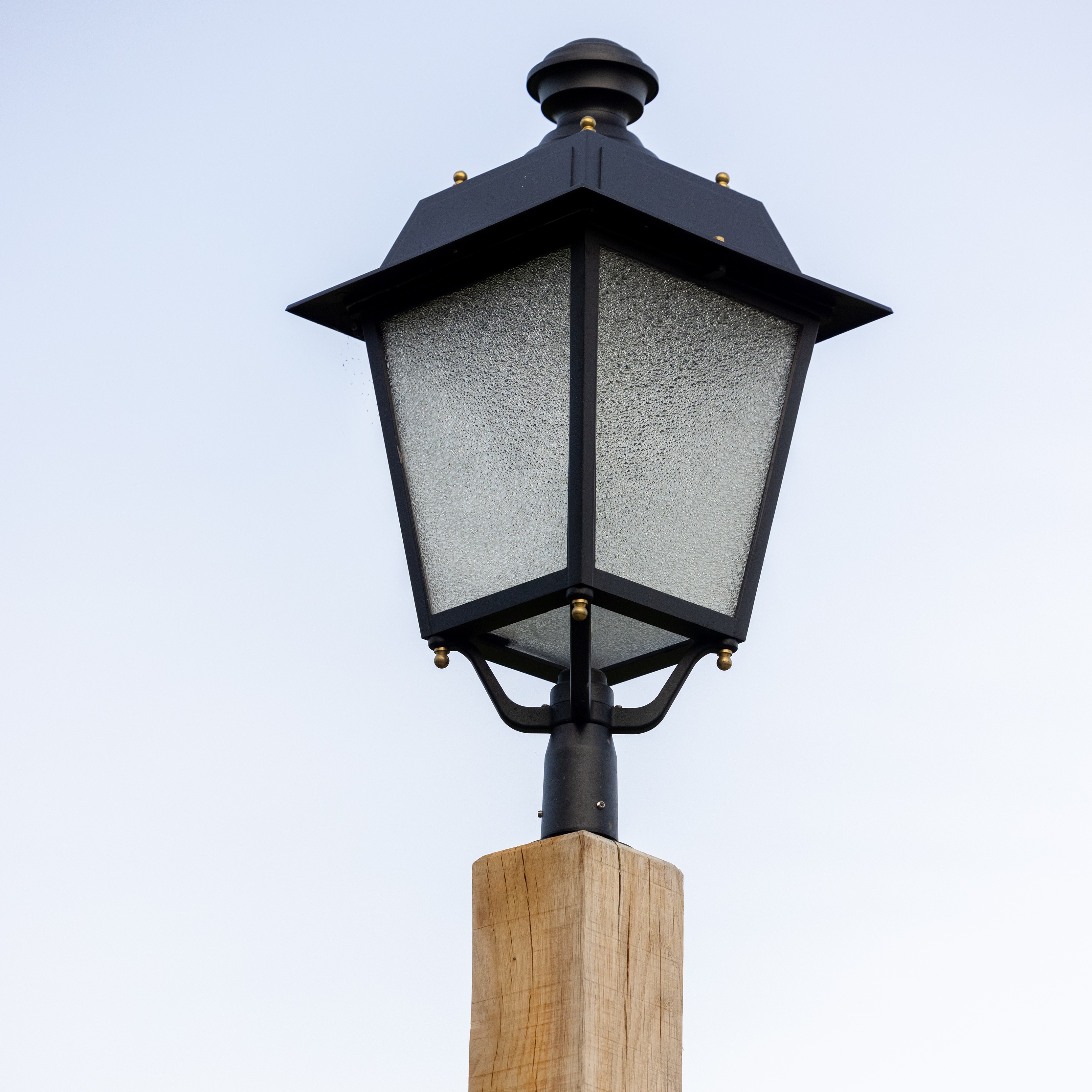 Foto: Timberlab Pila 6 HR