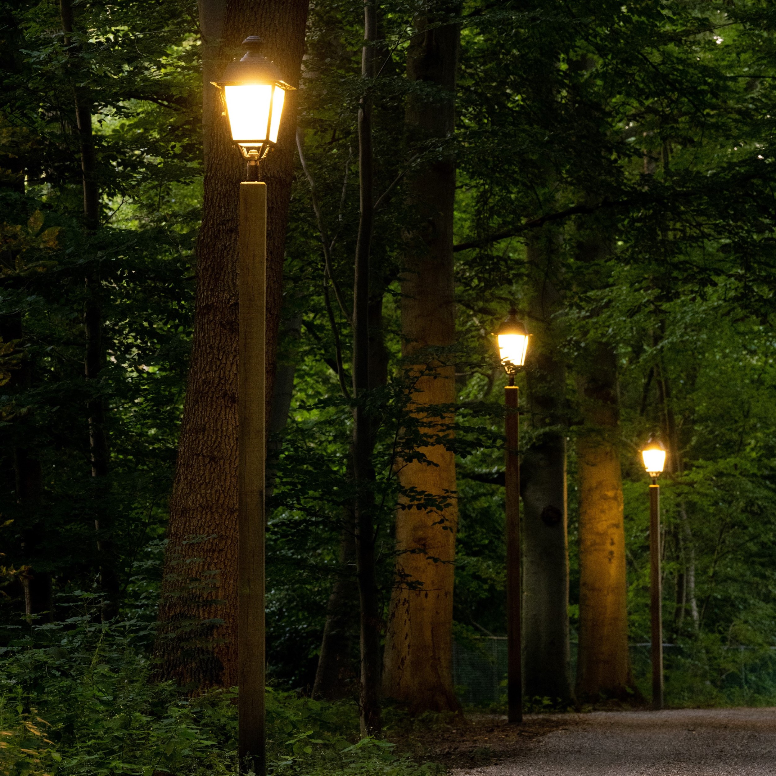 Foto: Timberlab Pila 9 HR