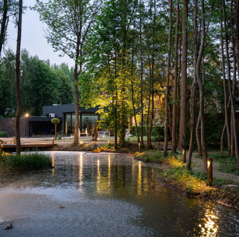 Foto : Sfeervolle tuinverlichting brengt een natuurlijke vijvertuin tot leven