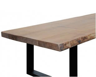 Foto : Boomstamtafel U poot