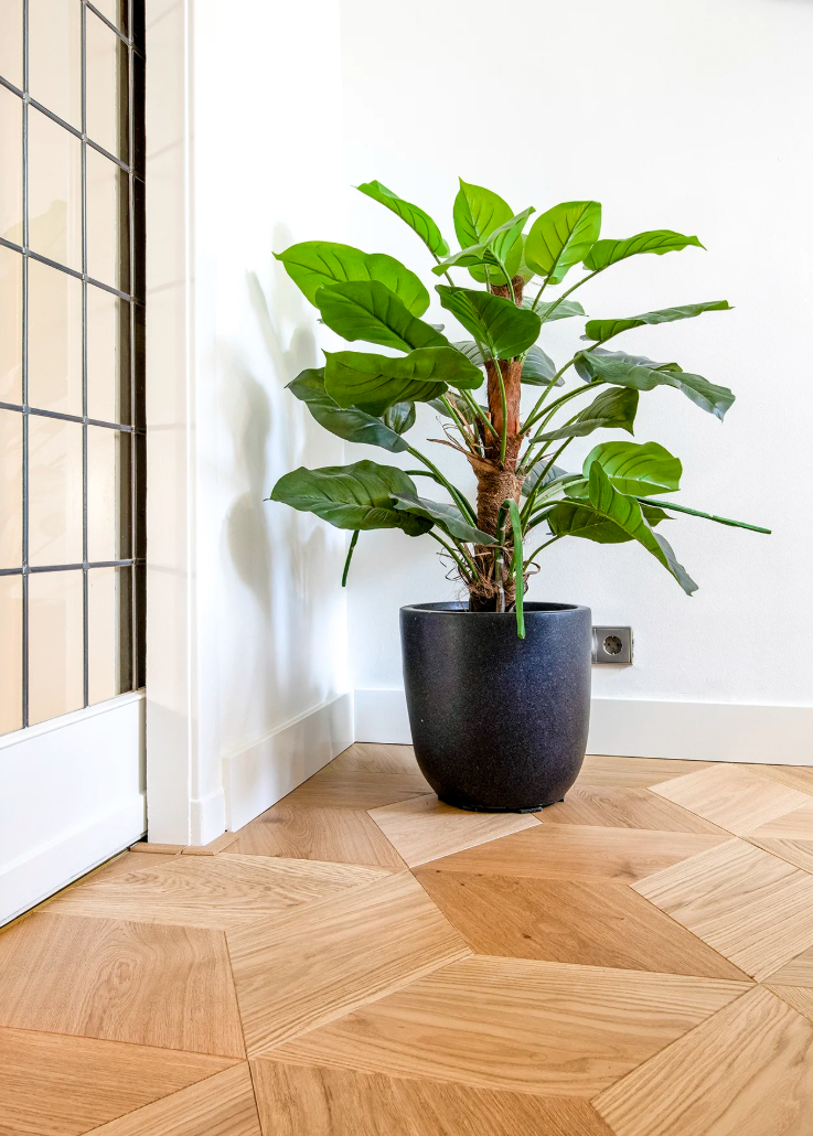 Foto: Schermafbeelding 2025 11 25 134129