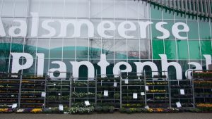 Foto: DSCF3386 300x169